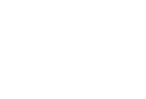 Fundacion2100_logotipo_neg.png
